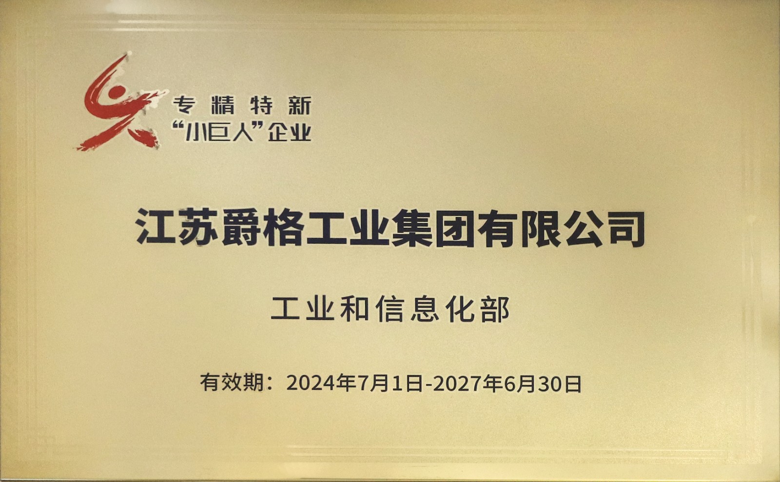 国家小巨人.jpg